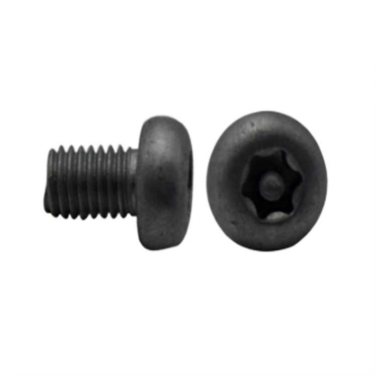 #6-32 sekrup pengaman kepala torx pan hitam dengan bunga plum